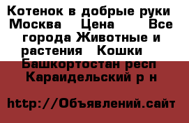 Котенок в добрые руки. Москва. › Цена ­ 5 - Все города Животные и растения » Кошки   . Башкортостан респ.,Караидельский р-н